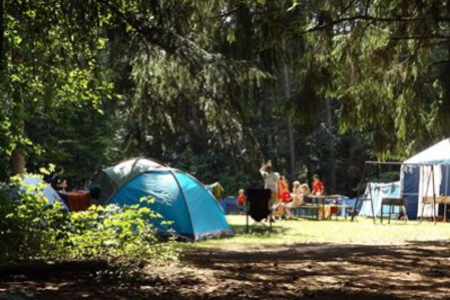 キャンプ・コンサート・遊び